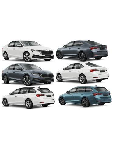 SCEND.P-SX PRIVACY OCTAVIA BN 2020 in poi