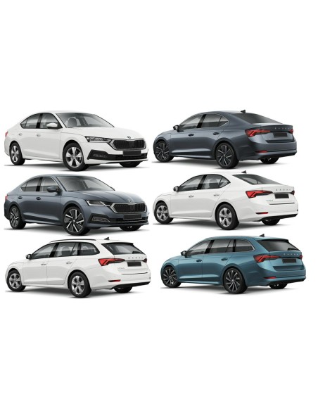 CALOTTA DX PRIM.OCTAVIA 2020 in poi