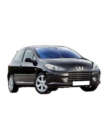 COFANO ANTERIORE PEUGEOT 307 09/05 in poi 07/07