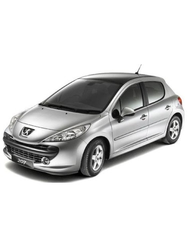 GRIGLIA SUPERIORE CROM PARAURTI ANTERIORE PEUGEOT 207 SPORT 04/06 in poi