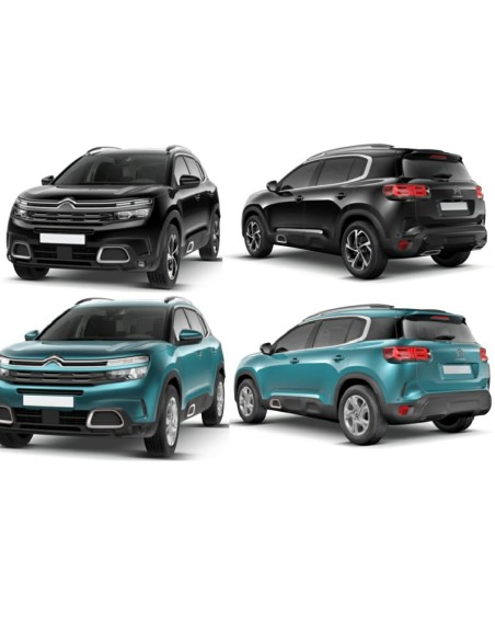 FANALE DI CORTESIA SX CITROEN C5 AIRCROSS 01/19 in poi