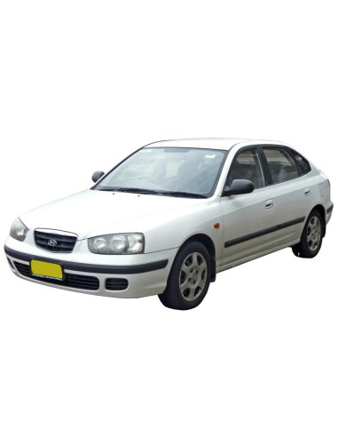 FENDINEBBIA DX HYUNDAI ELANTRA 08/00 in poi 05/03
