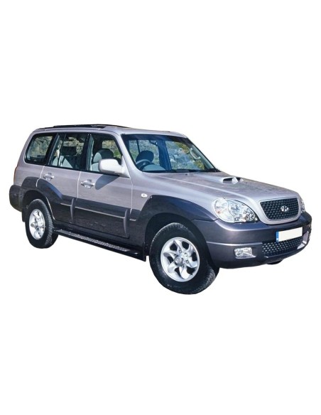 FENDINEBBIA DX HYUNDAI TERRACAN 01/04 in poi