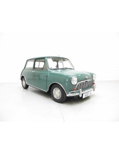 PORTELLONE MINI MINOR 10/81 in poi 12/96 2