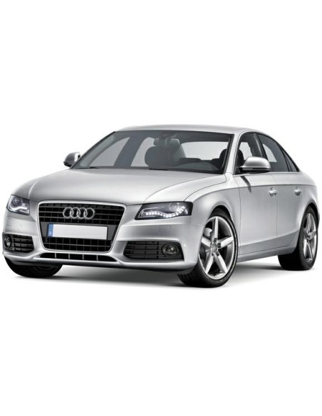 MODANATURA SOTTOPORTA DX AUDI A4 12-07 in poi -12-11 in poi BN-SW