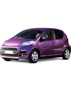 GRIGLIA PARAURTI ANTERIORE DX PEUGEOT 107 01/12 in poi 2