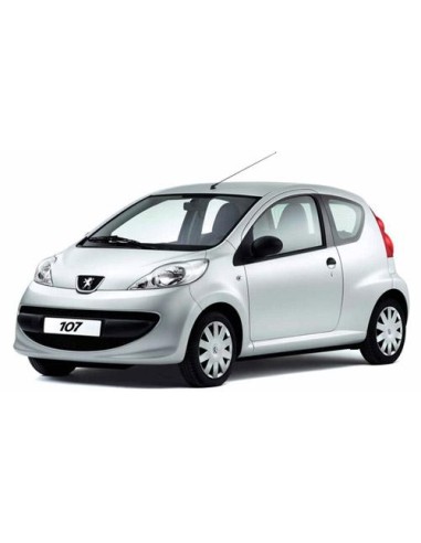PARAURTI ANTERIORE PRIMER PEUGEOT 107 06/05 in poi 12/08-TUV ES