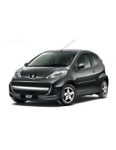 GRIGLIA PARAURTI ANTERIORE CENTRALE PEUGEOT 107 01/09 in poi