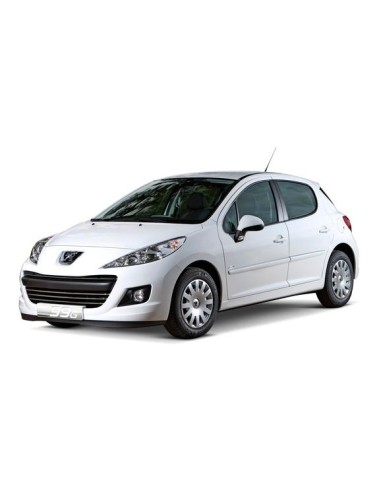 GRIGLIA PARAURTI ANTERIORE SX PEUGEOT 207 06/09 in poi