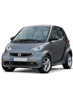 GRIGLIA PARAURTI ANTERIORE SMART FORTWO 04/12 in poi 2
