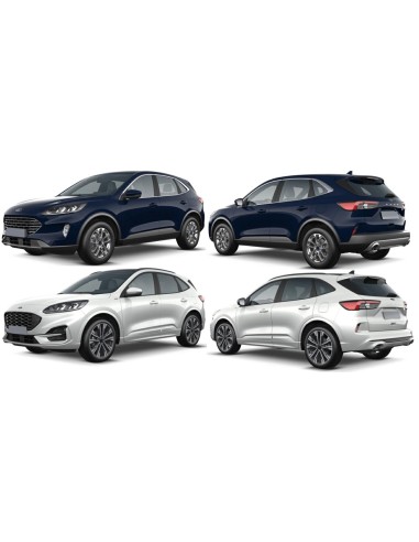 STAFFA P-TI P-SX EST FORD KUGA 01-20 in poi