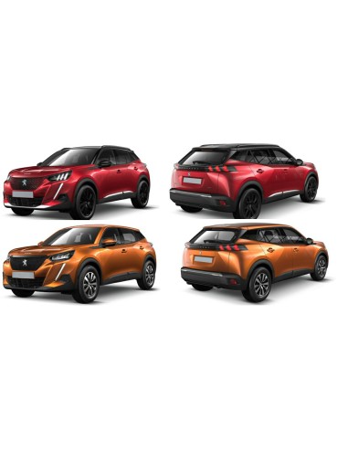 TAPPO GRIGLIA P-TI C-LE PEUGEOT 2008- 01-19 in poi