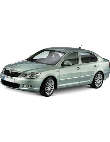 GRIGLIA RAD COMPLETA C-CROMATURA SKODA SUPERB 01-1