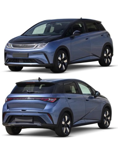 PARAF A-DX BYD DOLPHIN 01-23 in poi