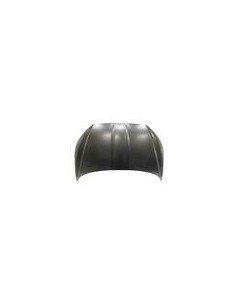 COFANO ANT SKODA ENYAQ 01-20 in poi