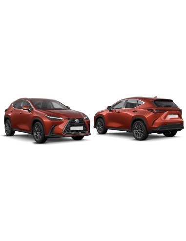 COFANO ANT LEXUS NX 01-22 in poi ALLUM