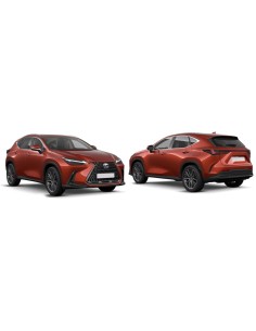 PARAF A/SX LEXUS NX 01/22 in poi 2