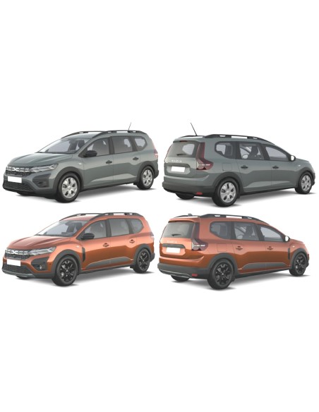 GRIGLIA C-MODAN CROM DACIA JOGGER 03-22 in poi