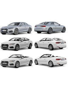 GRIGLIA NERA AUDI A5-RS5 06-16 in poi 2