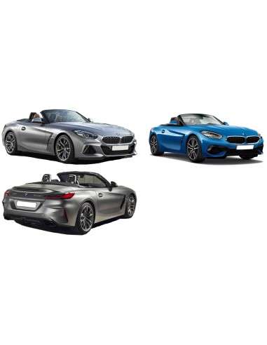 GRIGLIA P-TI ANT BMW Z4 G29 11-18 in poi M-PKG