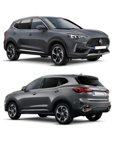 SPOILER P-TI ANT MG HS-EHS 06-23 in poi