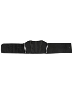 T-Maxter Back, fascia elastica lombare 2