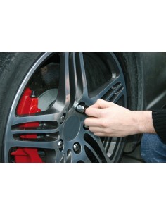 Chrome-Nut Caps, 20 copribulloni - Ø 17 mm 2