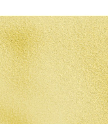 Pro-Clean - 40x40 cm - Panno lucidatura - Tessuto scamosciato