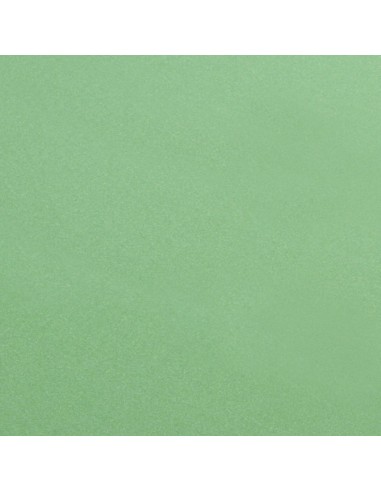 Pro-Clean - 30x40 cm - Panno elettronica - Tessuto raso