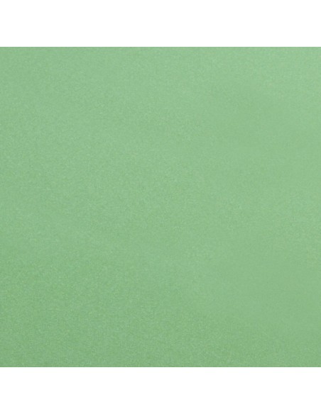 Pro-Clean - 30x40 cm - Panno elettronica - Tessuto raso