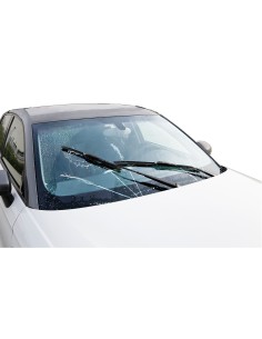 LAVAVETRI TOGLI MOSCERINI 1LT PROFUMATO PRONTO ALL 2