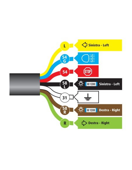 Presa 7 poli con cablaggio da 160 cm