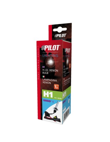 12/24V Lampadina HID Xenon 6.000K - H1 - 1 pz  - Scatola
