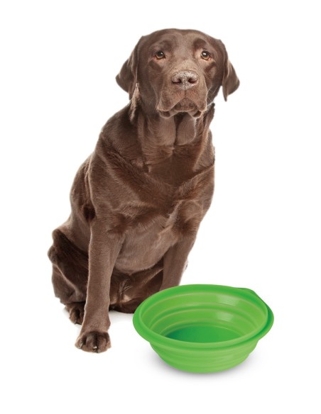 CIOTOLA SILICONE DA VIAGGIO PETS 1000ML