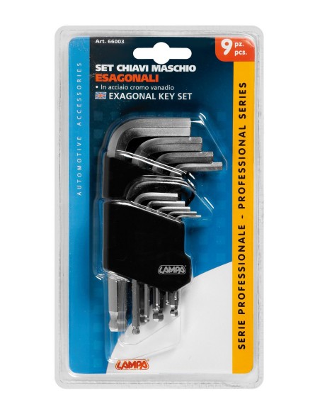 SET 9PZ CHIAVI ESAGONALI