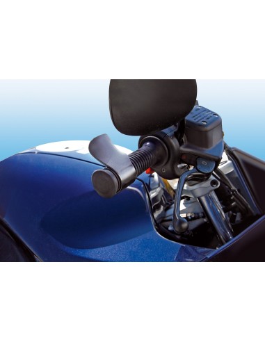 Cruising, leva riposa polso per acceleratore