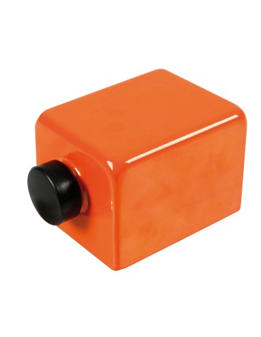 ANTIFURTO RUOTA DI SCORTA TRUCK