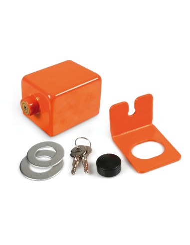 ANTIFURTO RUOTA DI SCORTA TRUCK