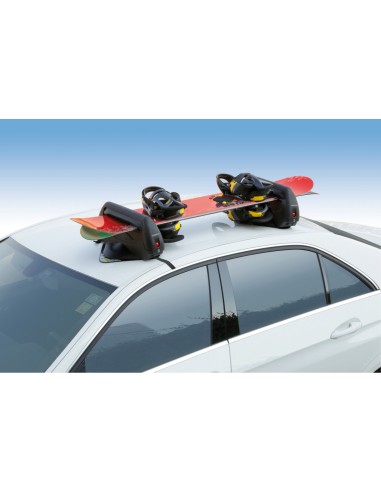 P/SCI MAGNETICO MYURA CARVING