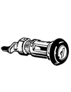 CILINDRETTI ANTERIORE-POSTERIORE DUCATO '94 in poi DX