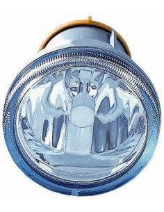 FENDINEBBIA CITROEN C3 DXSX DEPO 62020