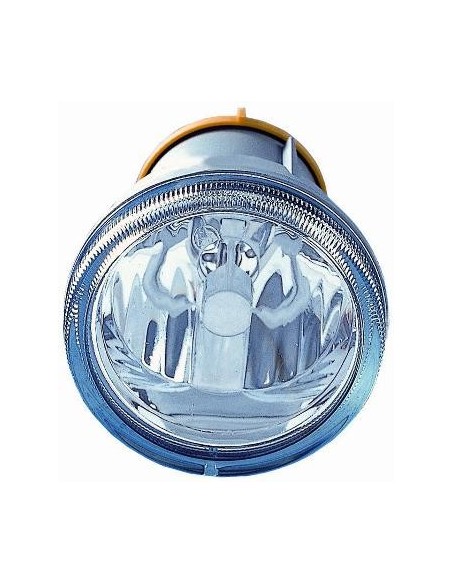 FENDINEBBIA CITROEN C3 DXSX DEPO 62020