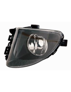 FENDINEBBIA BMW SERIE 5 F10/F11 2010 VETRO IN PLASTICA DX DEPO 67570