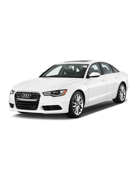 FANALE P-SX EST LED AUDI A6 09-14 in poi (OE 4G5945095C)