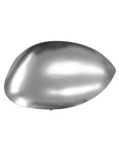 CALOTTA RETROVISORE PEUGEOT 206 - CITROEN C3 - CT. PICASSO - P1007 CROMATA DX DEPO 800660