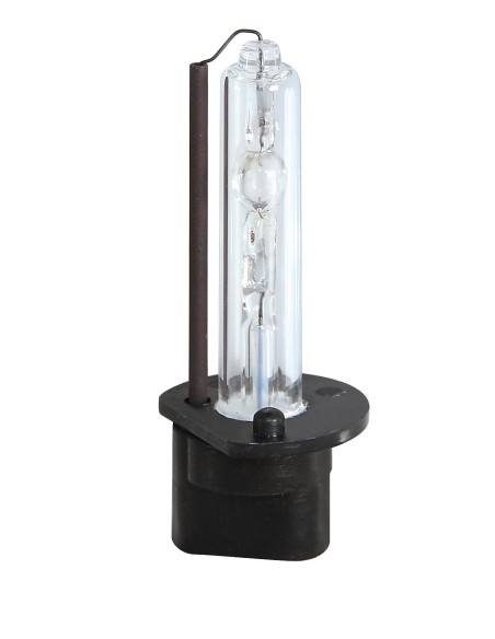 LAMPADINA XENON H1 8000K 58201L LAMPA