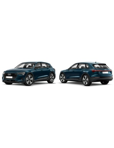 SCENDENTE POSTERIORE DX PRIVACY E-TRON SUV 2019 in poi