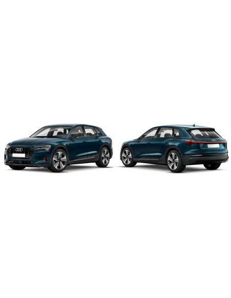 SCENDENTE POSTERIORE SX PRIVACY E-TRON SUV 2019 in poi