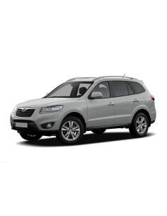 VETRINO CON PIASTRA SX EL.HYUNDAI SANTA FE 2010