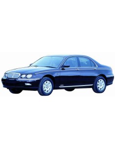 VETRINO RETROVISORE DX ROVER 75